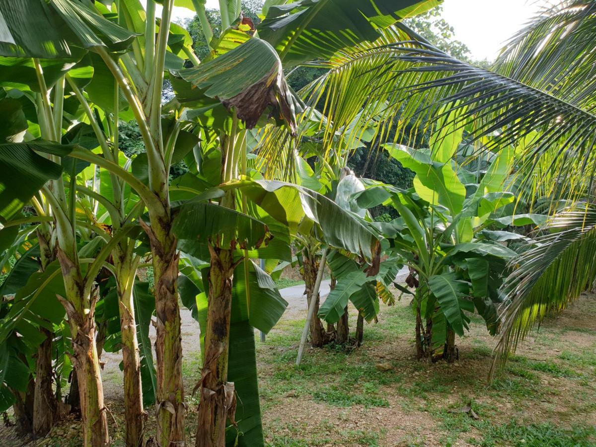 ホテル Baan Suan Coconut ヤオノイ島 エクステリア 写真