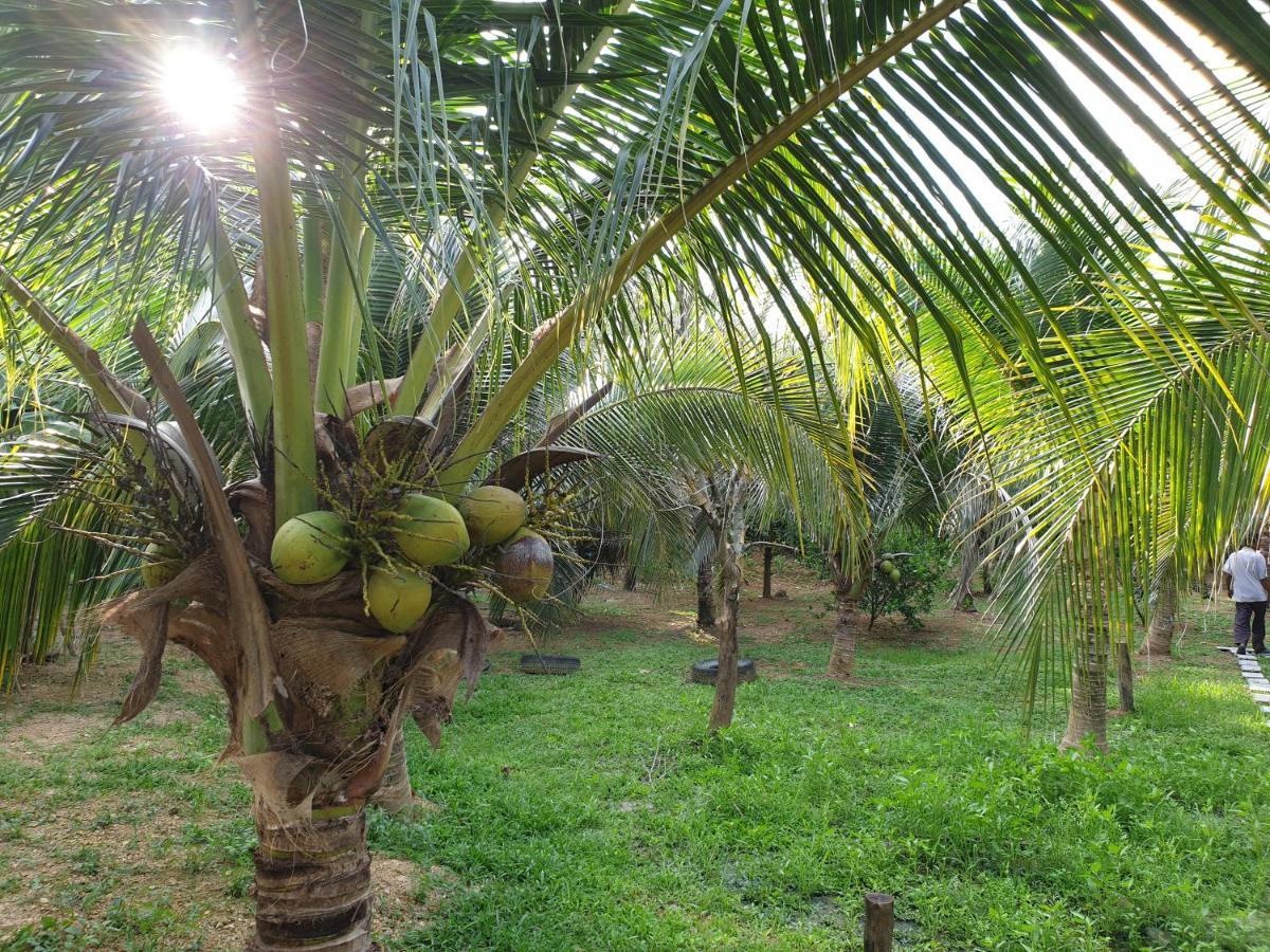 ホテル Baan Suan Coconut ヤオノイ島 エクステリア 写真